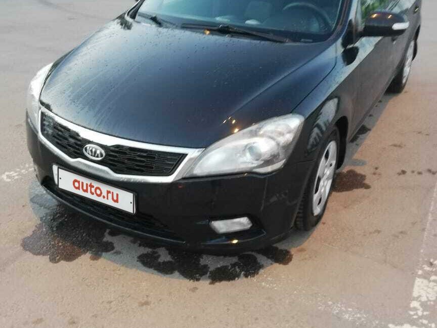 Телефон киа белгород
