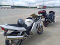 Хонда Дрозд 1100 с кофрами
