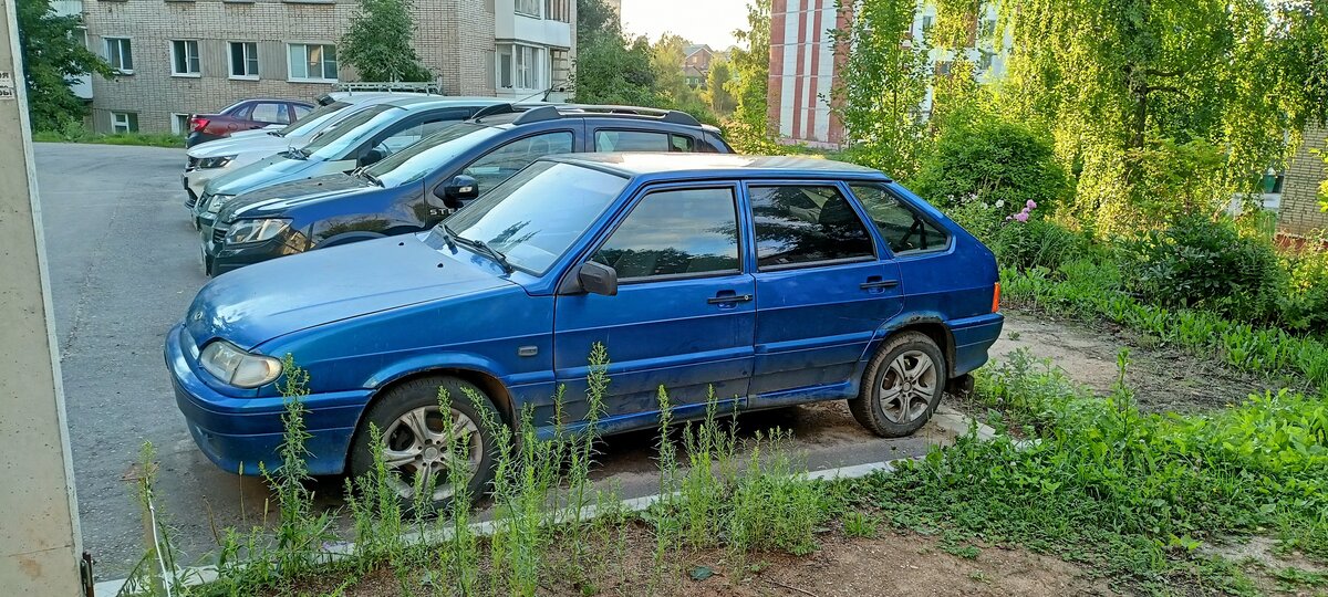 Сафоново лада деталь
