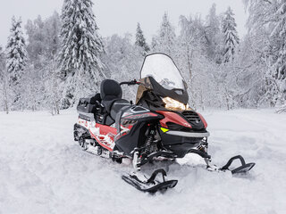 2025 AODES (Odes) Snowcross 1000, красный, 1467000 рублей, вид 1