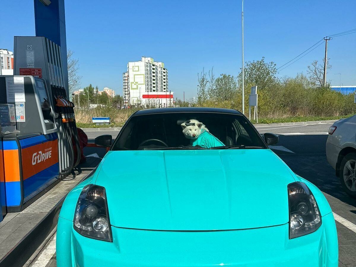 Купить б/у Nissan Fairlady Z V (Z33) 3.5 AT (280 л.с.) бензин автомат в ...