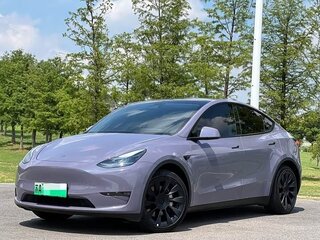 2021 Tesla Model Y Standard I, серый, 2550000 рублей, вид 1