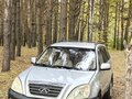 2009 Chery Tiggo (T11) I, серый, 380000 рублей