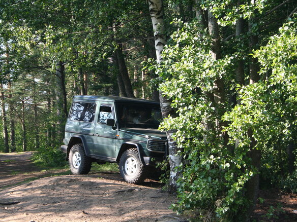 1990 Mercedes-Benz G-Класс 300 II (W463), зелёный - вид 6