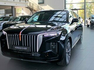 2021 Hongqi E-HS9 99 kWh, чёрный, 6200000 рублей, вид 1