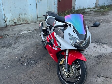 Латекс киген сексуалды қыз