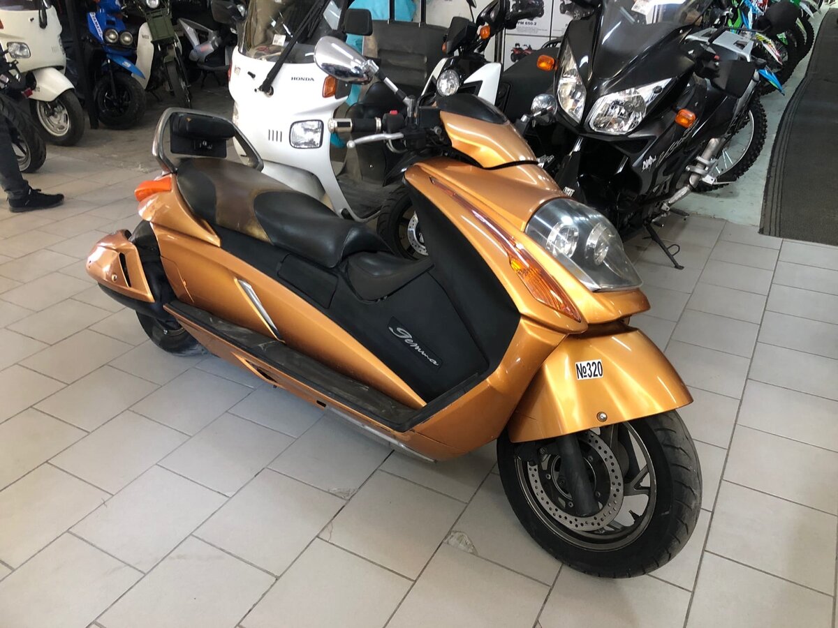 suzuki gemma