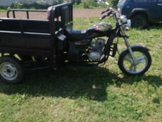 Orion Tricycle