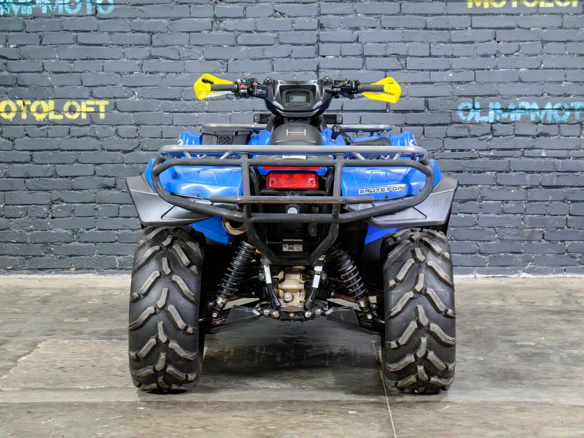 Kawasaki Brute Force