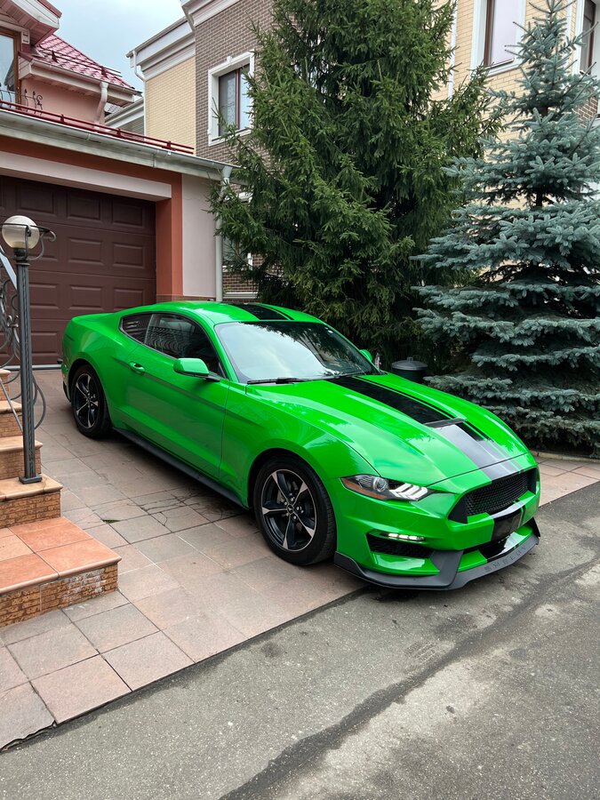 2019 Ford Mustang VI Рестайлинг, зелёный - вид 10