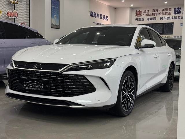 Sohilda yalangoch eshak