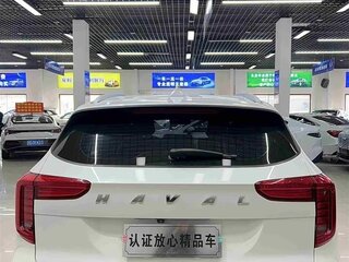2021 Haval Jolion I, белый, 1125978 рублей, вид 5