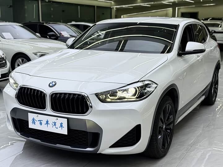 BMW X2 sDrive20i I (F39)