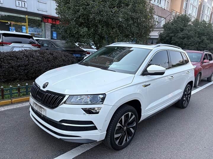 Skoda Karoq I