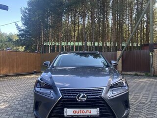 2019 Lexus NX 300 I Рестайлинг, серый, 3000000 рублей, вид 1