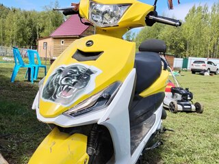 CCM GP450
