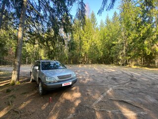 2003 Lexus RX 300 I, серебристый, 950000 рублей, вид 1