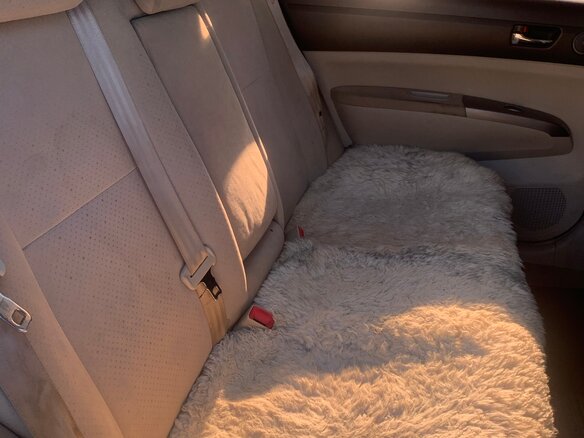 2004 Toyota Prius II (XW20), синий, 700000 рублей - вид 16