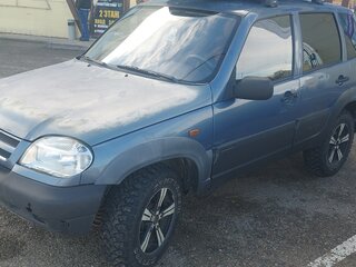 2008 Chevrolet Niva I, серый, 310000 рублей, вид 1