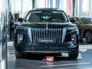 2021 Hongqi E-HS9 99 kWh, чёрный, 5900000 рублей, вид 1