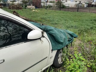 2004 Nissan Fuga I, белый, 300000 рублей, вид 1