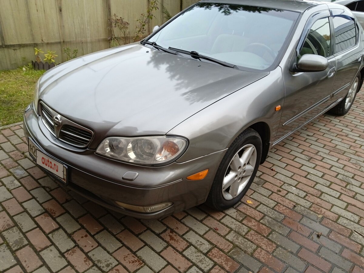 Nissan maxima Grey