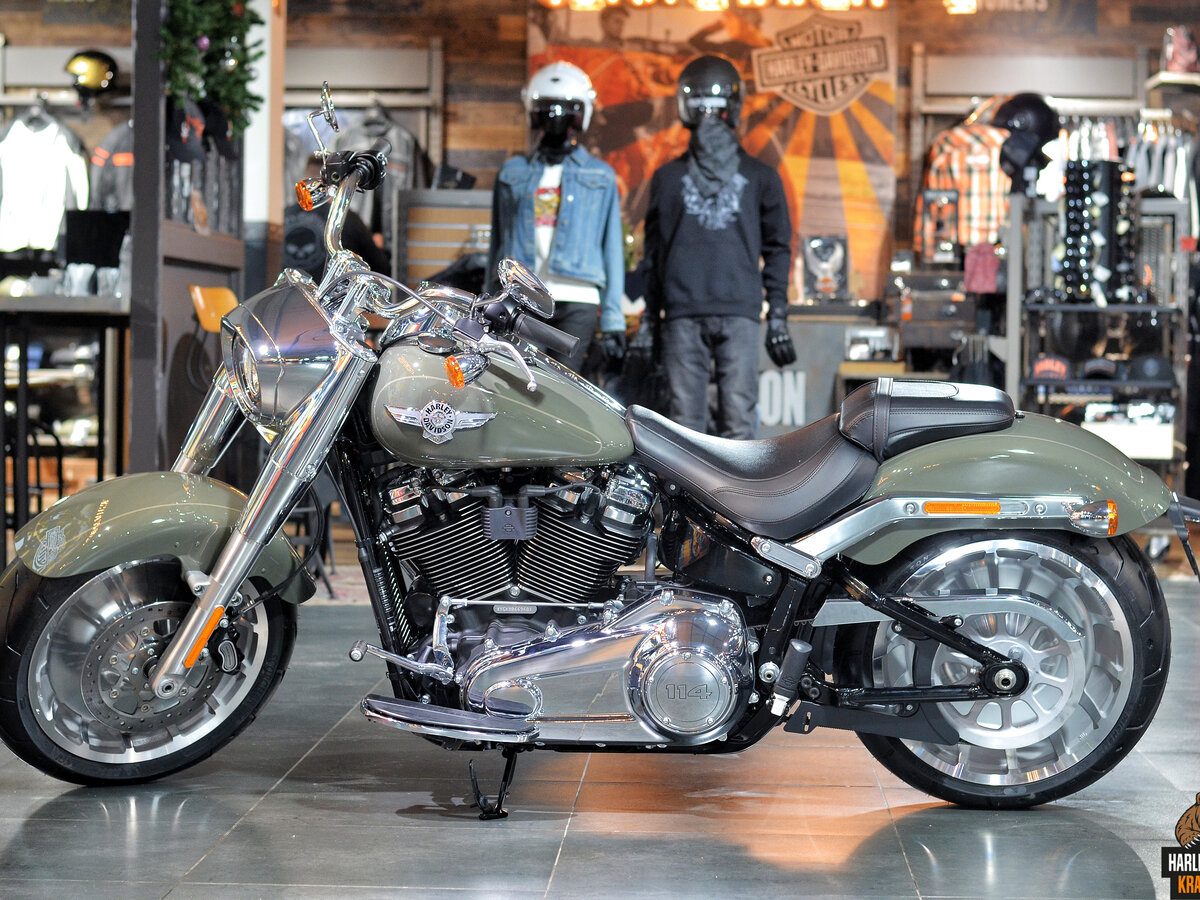 Карелин Harley Davidson