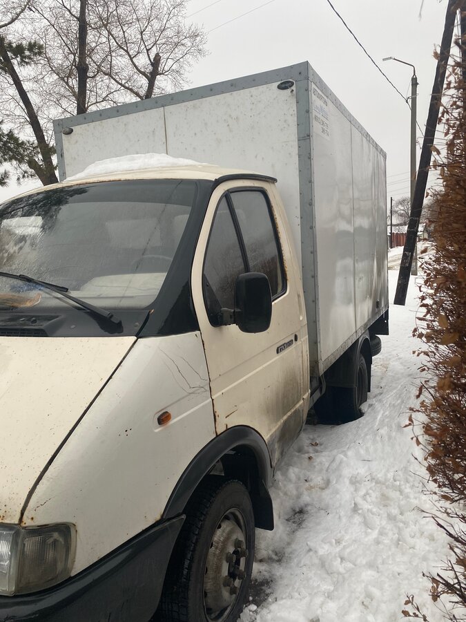 Газель белый максидом