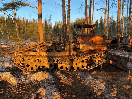 1990 ОТЗ ТДТ-55, красный, 600000 рублей, вид 3