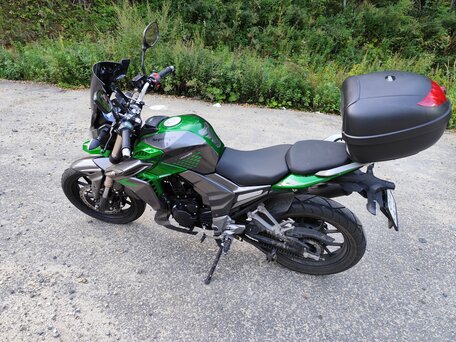 2021 Regulmoto T-Leopard 300, зелёный, 175000 рублей, вид 1