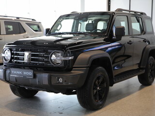 2025 Tank 300 I, чёрный, 4699000 рублей, вид 1