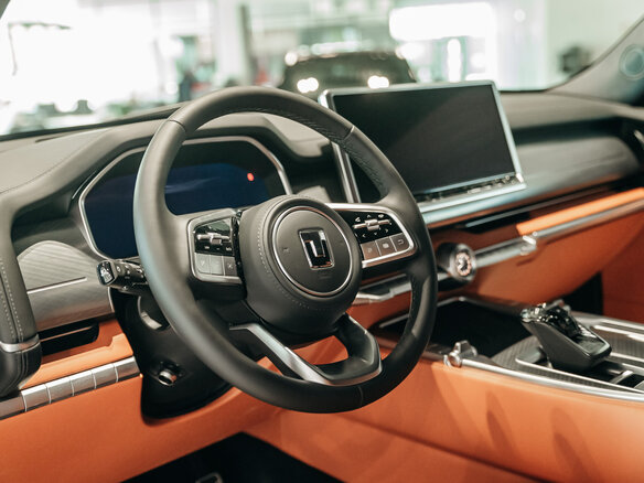 2025 Tank 700, серый, 10699000 рублей - вид 23