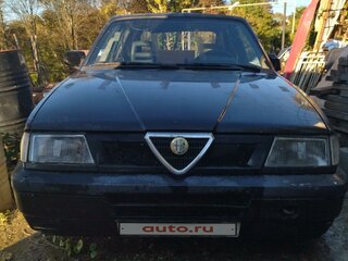 1993 Alfa Romeo 33 II, чёрный, 100000 рублей, вид 1