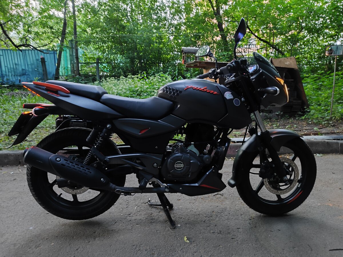 Pulsar 150 old model 2019 price sale