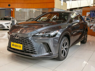2025 Lexus RX 300 V, серый, 6050000 рублей, вид 1