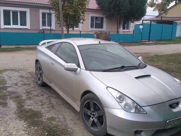 Авто большая глушица