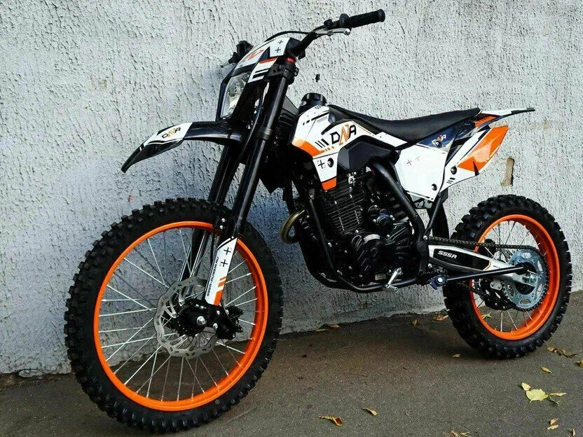 SSSR DNA 300
