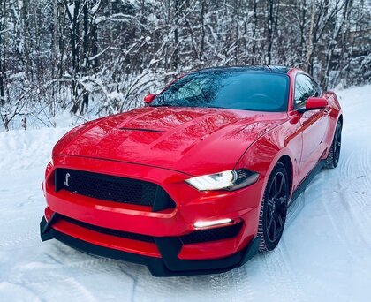 2019 Ford Mustang VI Рестайлинг, красный, 2850000 рублей, вид 1