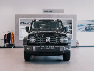 2025 Tank 300 I, чёрный, 4799000 рублей, вид 1