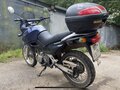 2000 Suzuki XF 650 Freewind, синий, 300000 рублей - вид 2