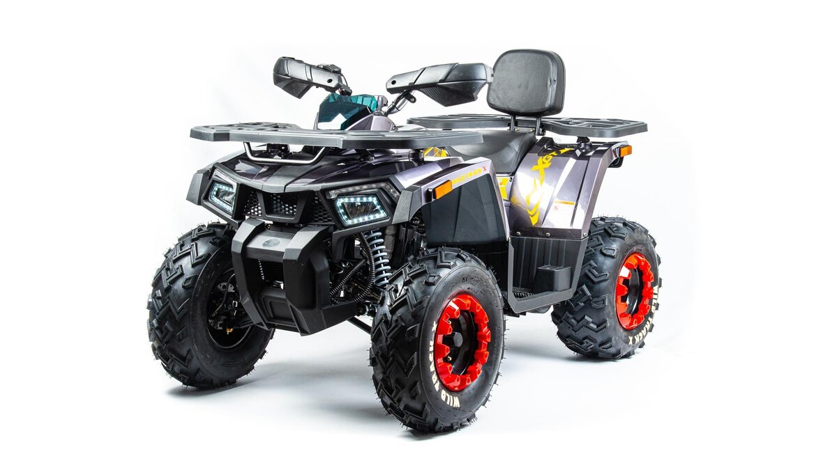 Motoland Wild Track 200