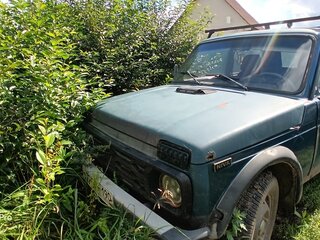 2000 Lada (ВАЗ) 2121 (4x4) I Рестайлинг, зелёный, 100000 рублей, вид 1