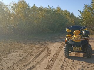 2023 Irbis ATV 200U, жёлтый, 265900 рублей, вид 1