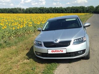 2014 Skoda Octavia III (A7), серебристый, 500000 рублей, вид 1
