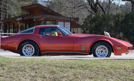 corvette c3 1980