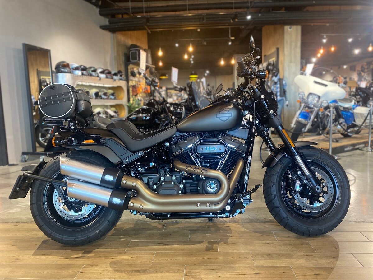 Harley Davidson fat Bob 2020 спинка