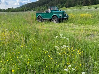 1955 ГАЗ 69, зелёный, 280000 рублей, вид 1