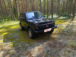 2017 Lada (ВАЗ) 2121 (4x4) I Рестайлинг, зелёный, 640000 рублей, вид 1
