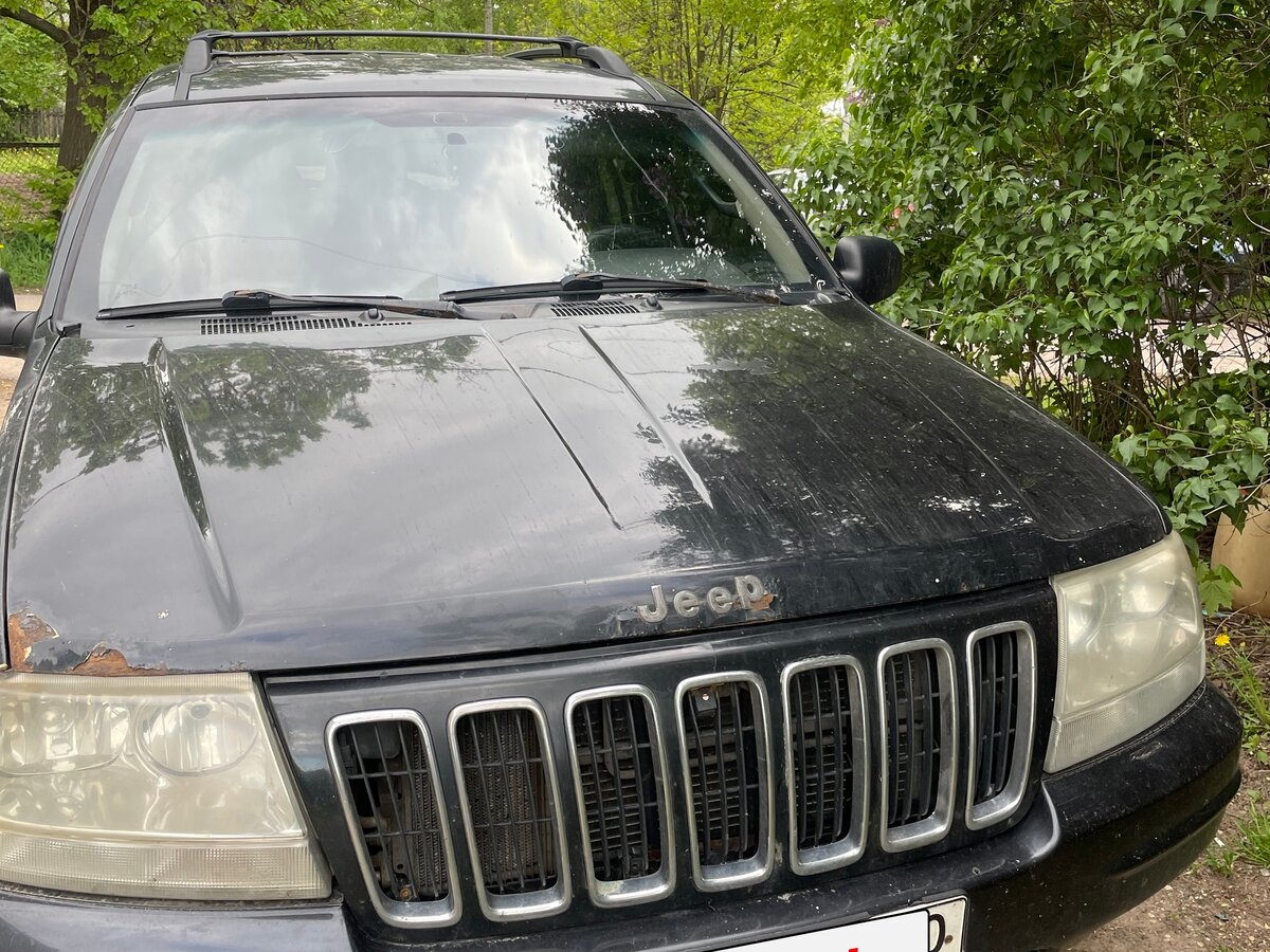 Wielganizator Tappetini auto in velluto su misura, compatibili con Jeep Grand Cherokee WJ (1998 – 2004) | Qualità: base – vestibilità precisa – antiscivolo, motivo erba, 2 pezzi – nero