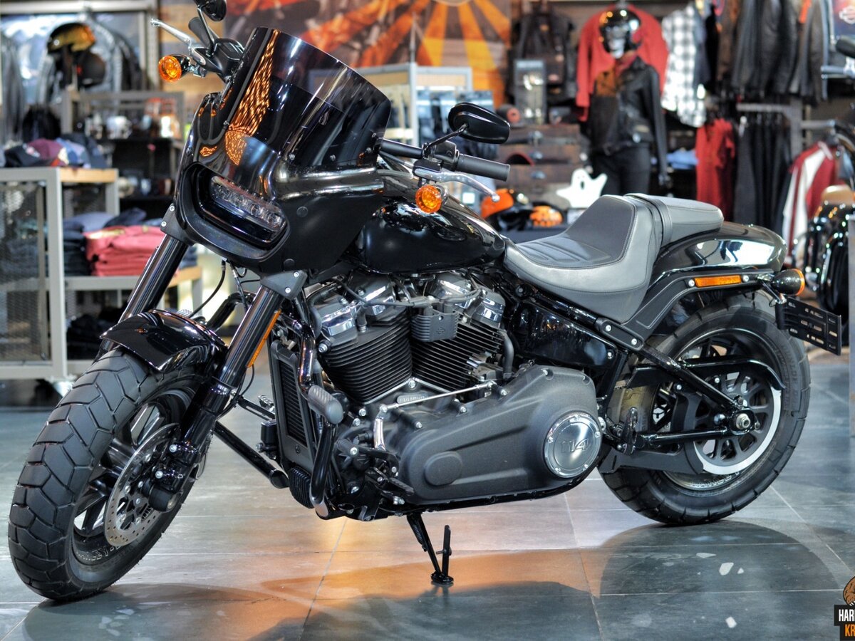 Harley Davidson fat Bob 2020 спинка
